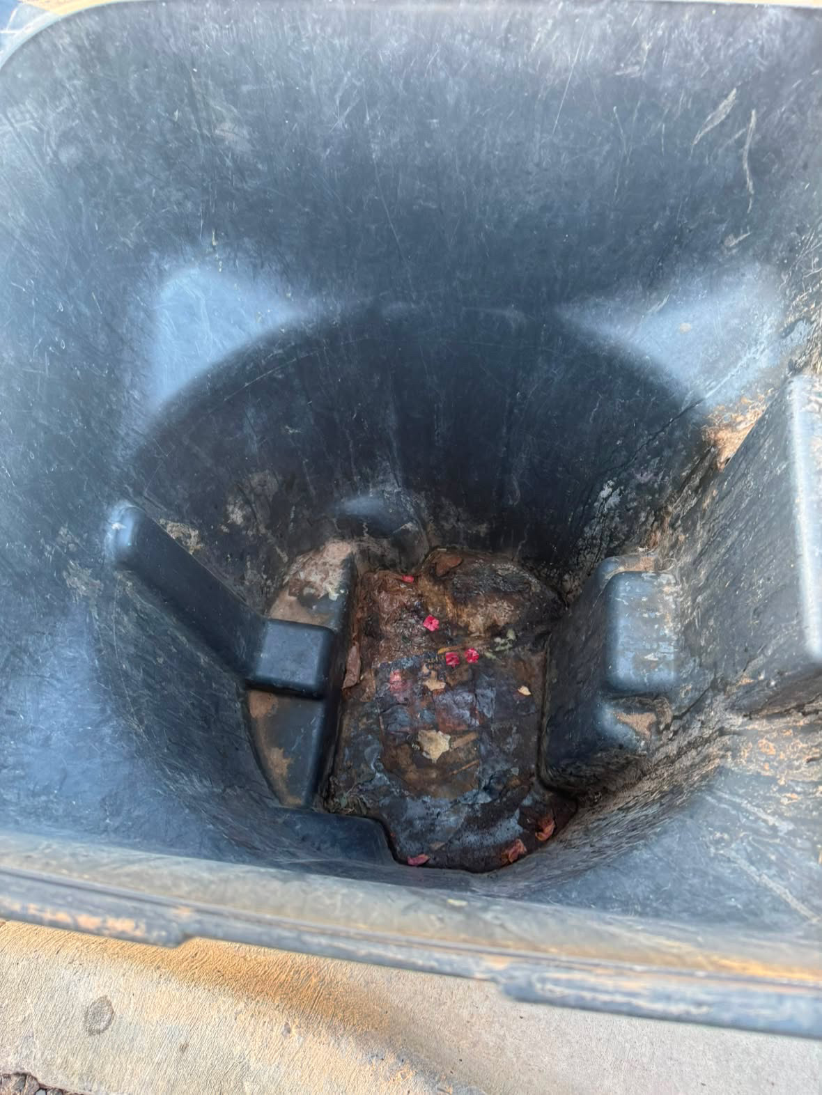 Bin before cleaning