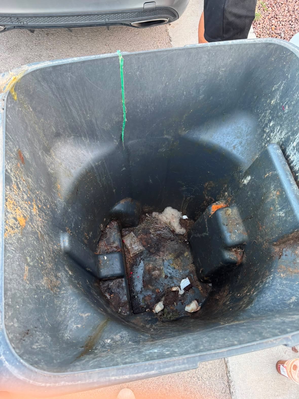 Dirty bin before cleaning
